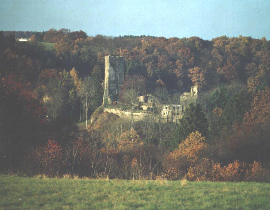 Burg Grenzau über dem Brexbachtal